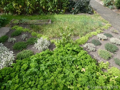 Parsley, sage, thyme, chives and more