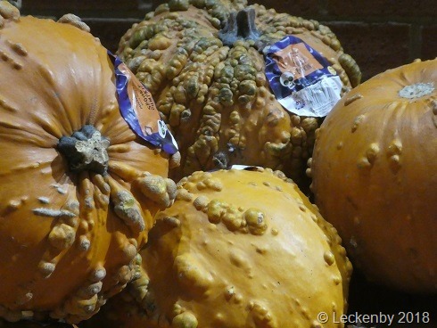 Warty pumpkins